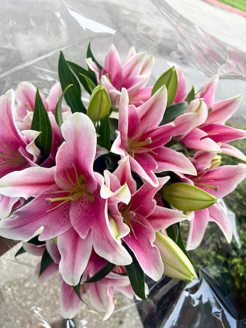 Beautiful floral arrangement
